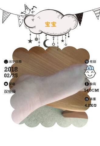 journal_insert_pic_957417841