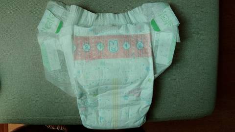 journal_insert_pic_957933425