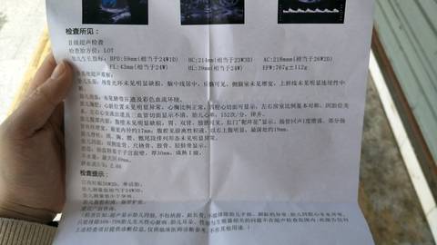 journal_insert_pic_958314582