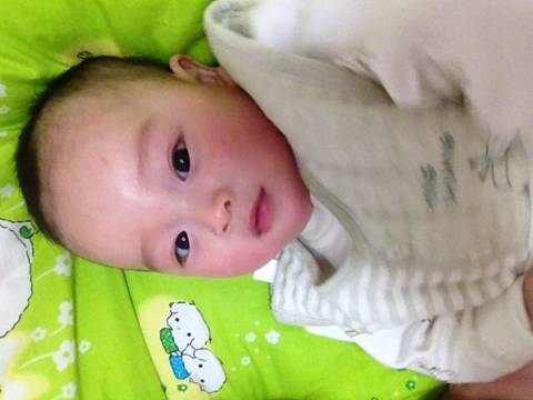 journal_insert_pic_958219023