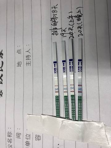 journal_insert_pic_960202750