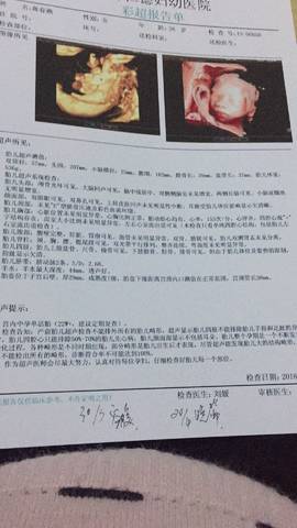 journal_insert_pic_959872008