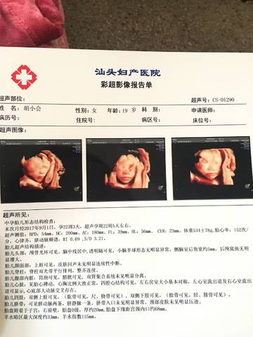 journal_insert_pic_960406362