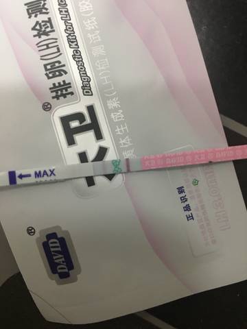 journal_insert_pic_960577958