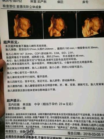 journal_insert_pic_960555017
