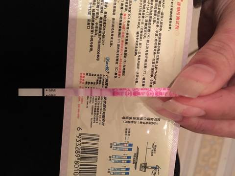 journal_insert_pic_961638767