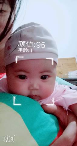 journal_insert_pic_961171374