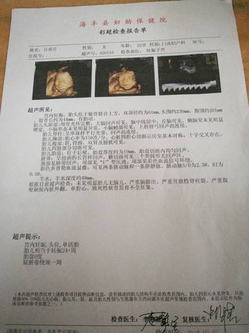 journal_insert_pic_961417830