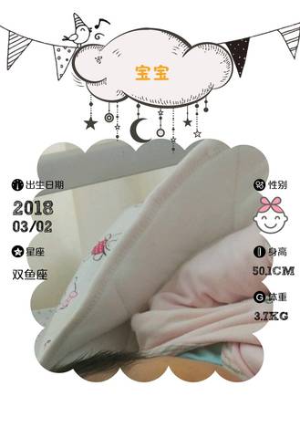 journal_insert_pic_961803355