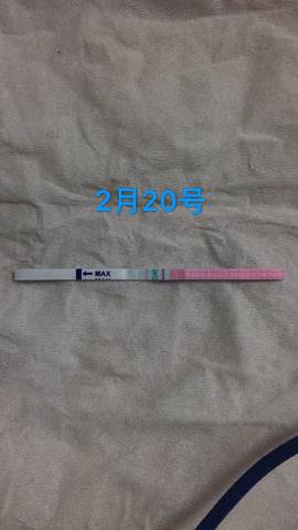 journal_insert_pic_961891464