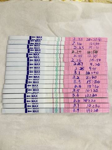 journal_insert_pic_961891475