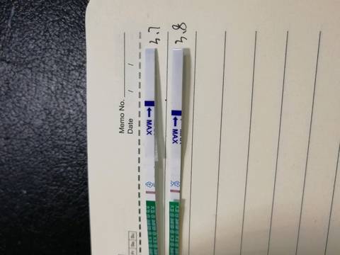 journal_insert_pic_961792673