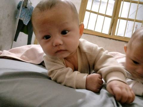 journal_insert_pic_962055227
