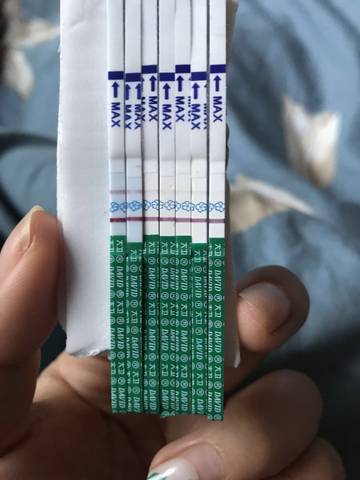 journal_insert_pic_963140695