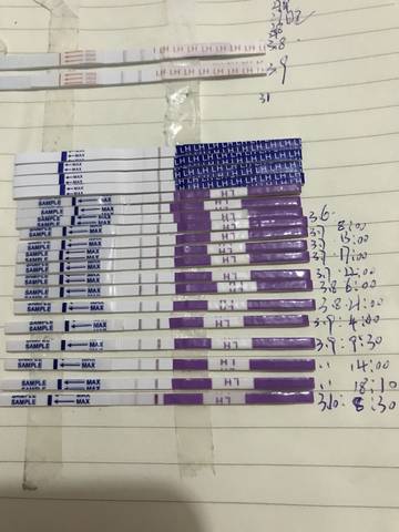 journal_insert_pic_963214380