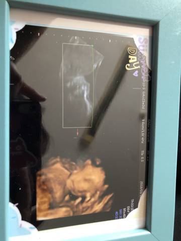 journal_insert_pic_963343154