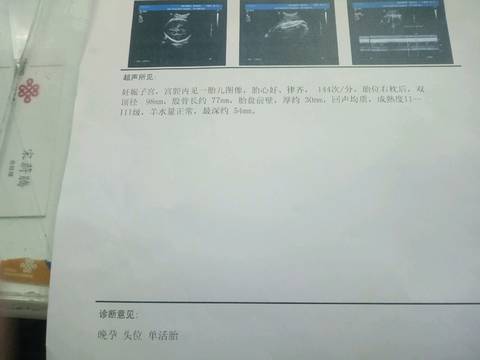 journal_insert_pic_964225462