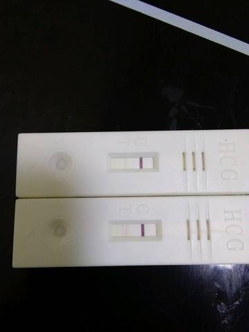 journal_insert_pic_964332237