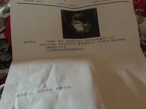 journal_insert_pic_964225547