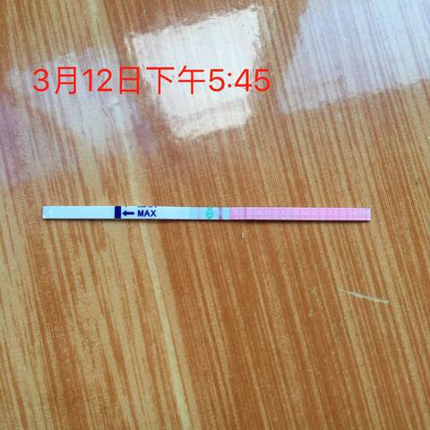 journal_insert_pic_965165066