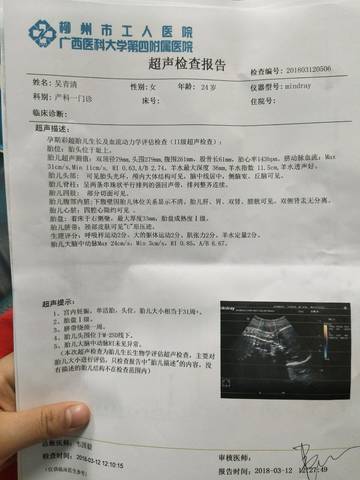 journal_insert_pic_965245684