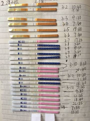 journal_insert_pic_965734858