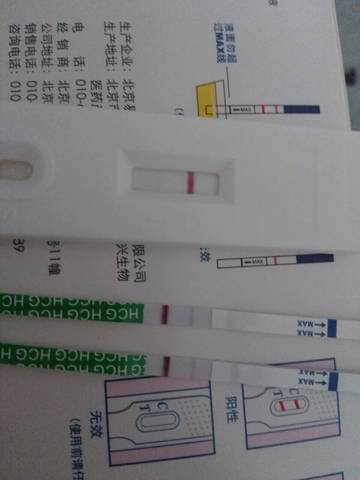 journal_insert_pic_965735655