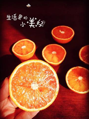 journal_insert_pic_965647976