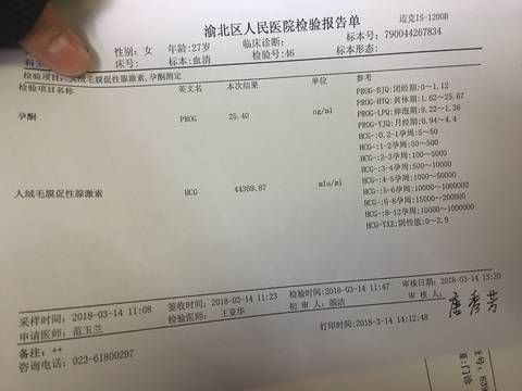 journal_insert_pic_966601602