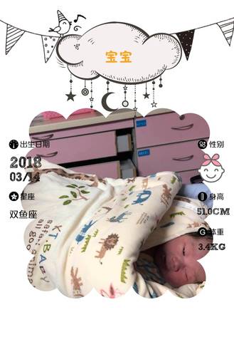 journal_insert_pic_966297695