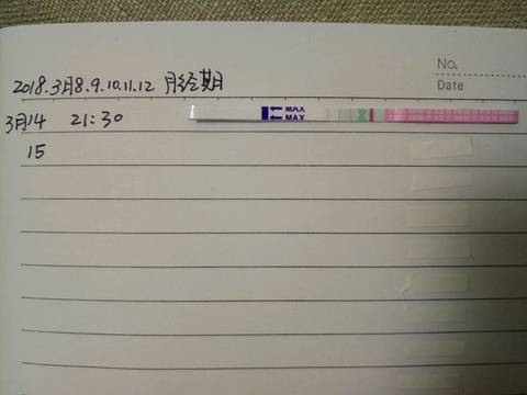 journal_insert_pic_966927190