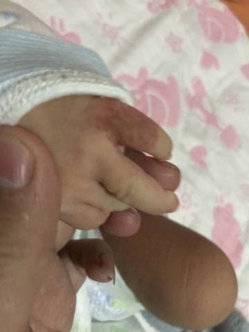 journal_insert_pic_967106117