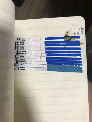 journal_insert_pic_968373741