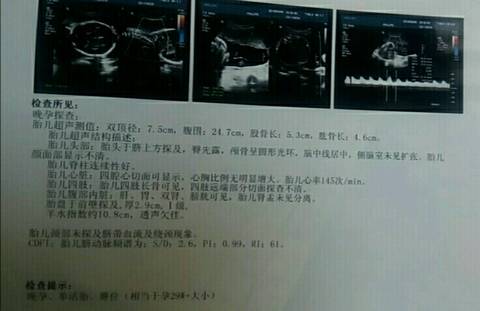 journal_insert_pic_967916279