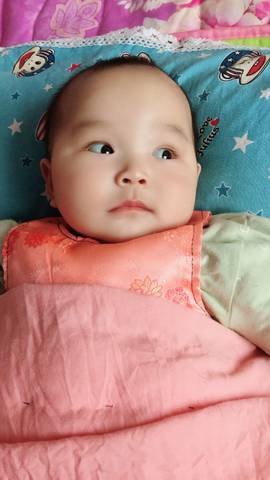 journal_insert_pic_968234432