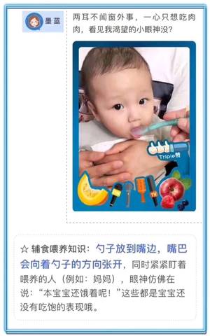 journal_insert_pic_968034935
