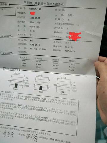 journal_insert_pic_969157576