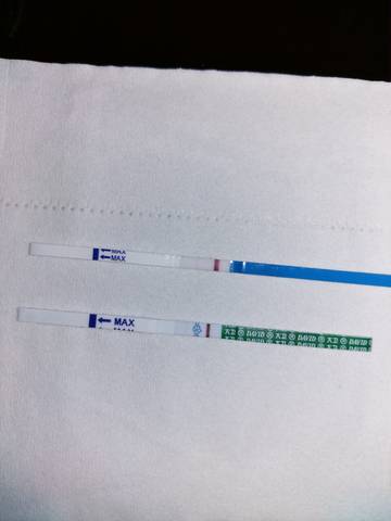 journal_insert_pic_969363503