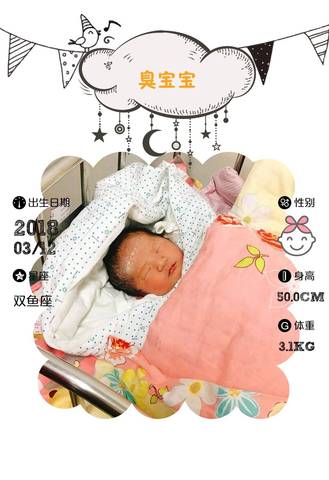 journal_insert_pic_970454585