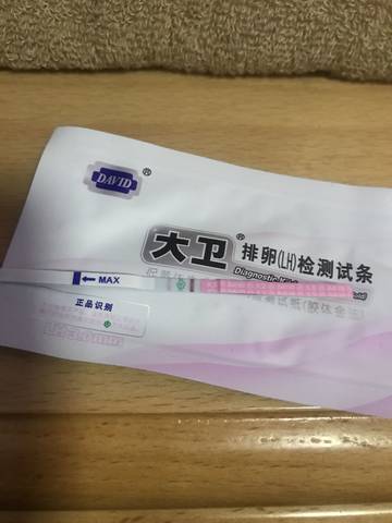 journal_insert_pic_970671519