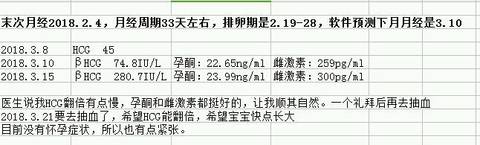 journal_insert_pic_970972904