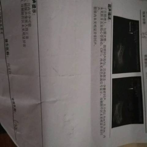 journal_insert_pic_971224851