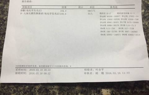 journal_insert_pic_971146878