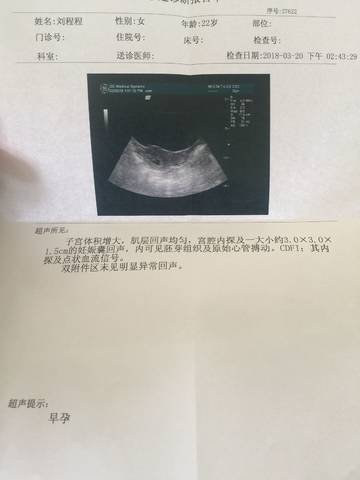 journal_insert_pic_971165436