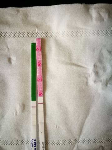 journal_insert_pic_971759144