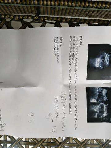 journal_insert_pic_971739071
