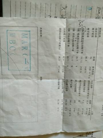 journal_insert_pic_971616425