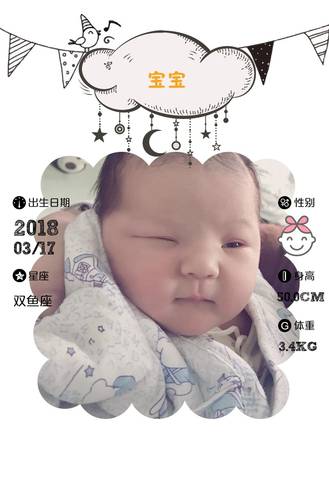 journal_insert_pic_971793319
