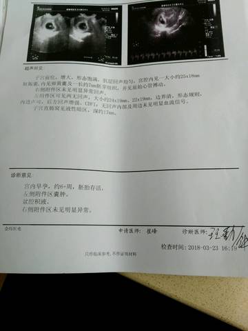 journal_insert_pic_973237351