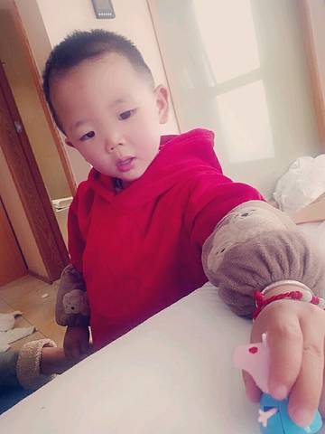 journal_insert_pic_973138474